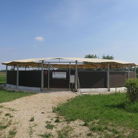 Holiday Home Domus Magna-3 By Interhome Povoletto Exterior foto